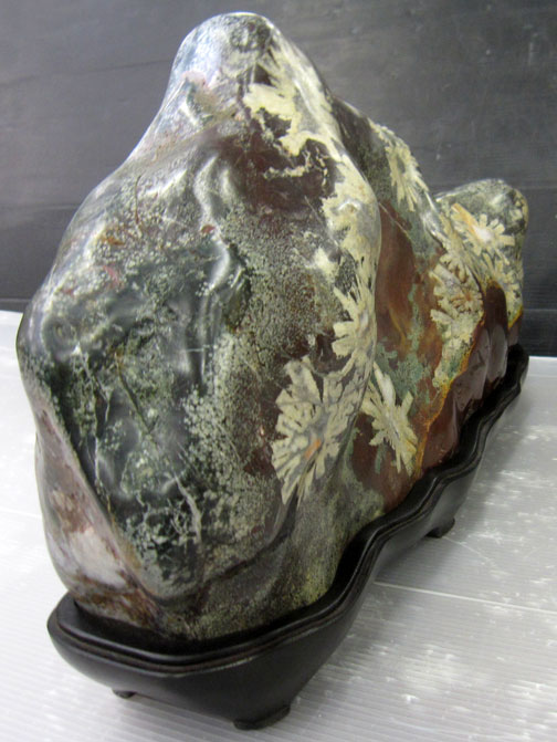 菊花石 岐阜根尾谷産を販売している増樹です。根尾谷の菊花石は大変