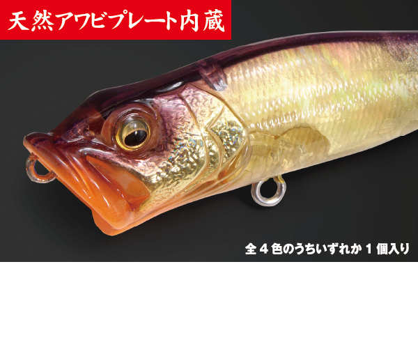 2024/12/20 本日の入荷！！ | ハニースポット ブログ