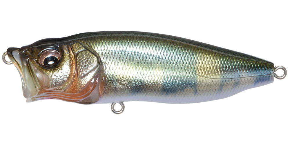 Megabass 2026POP X & POP MAX ルアーセット POPMAX | Megabass-メガバス