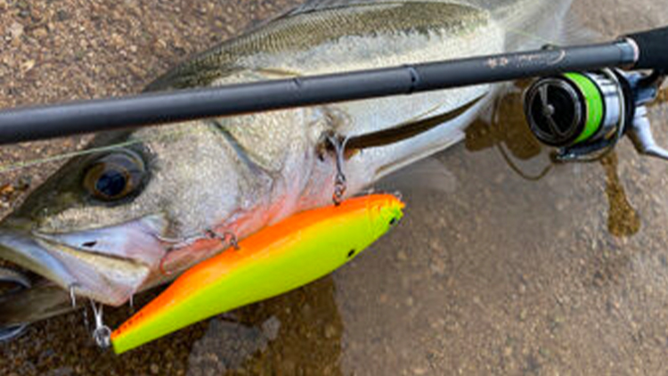 CK-92MLS | Megabass-メガバス