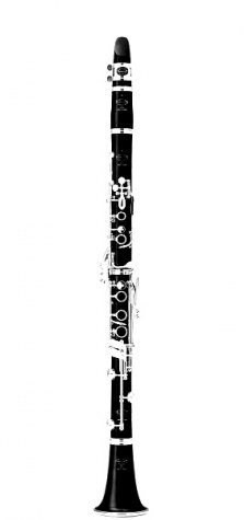 Buffet Crampon R13 Bb Professional Clarinet