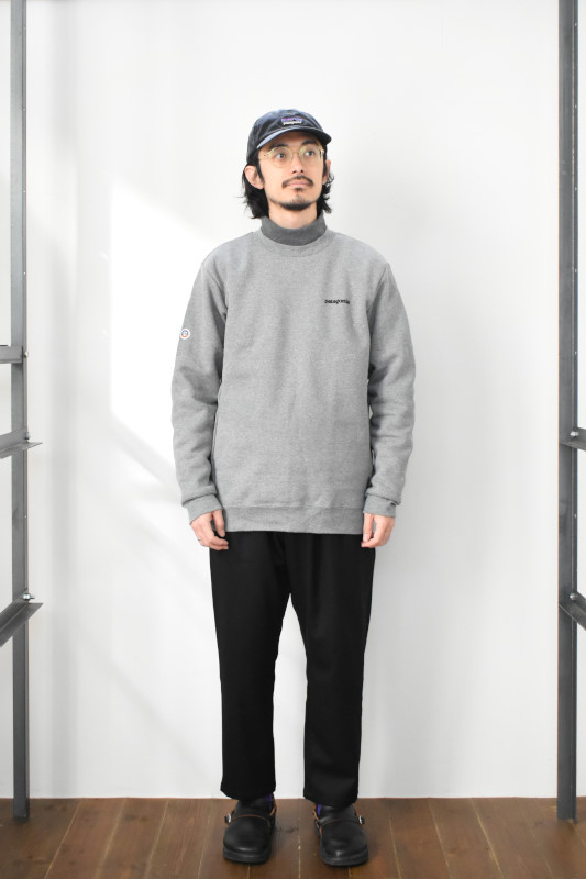 patagonia (パタゴニア) フィッツロイ・アイコン・アップライザル