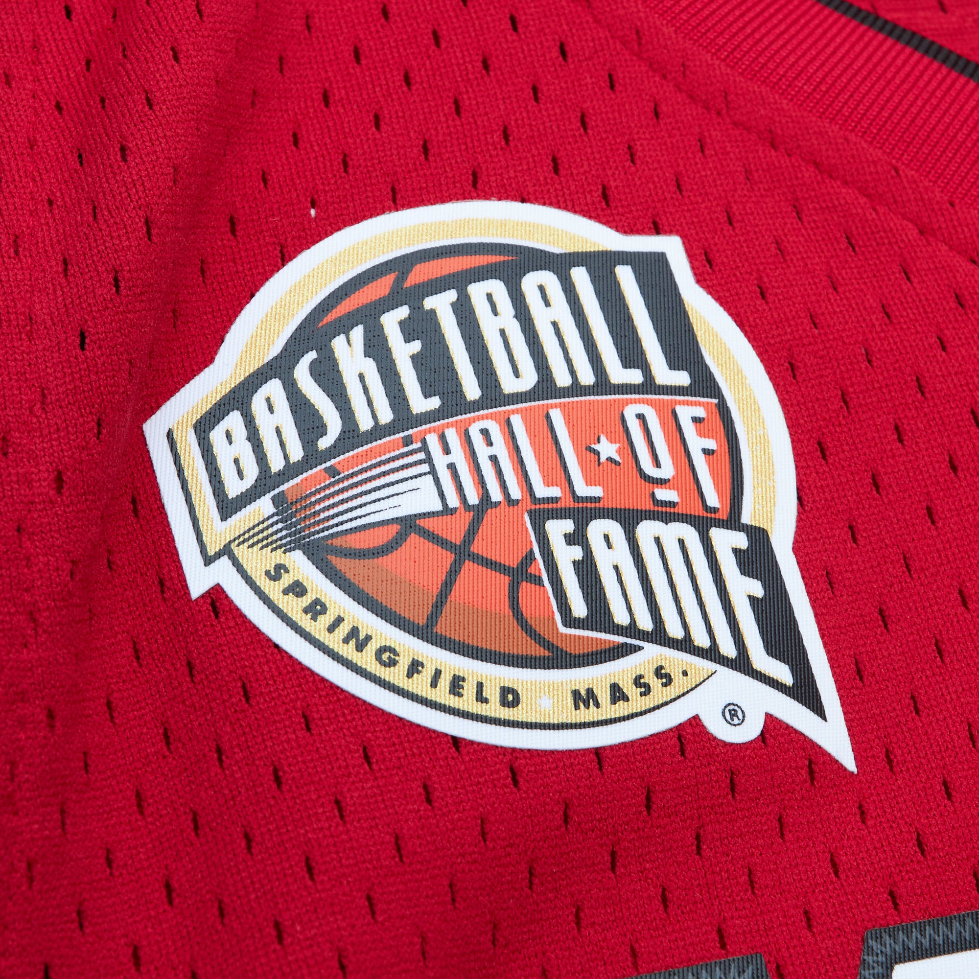 Mitchell Ness Wade HOF Jersey | Miami HEAT | Jersey