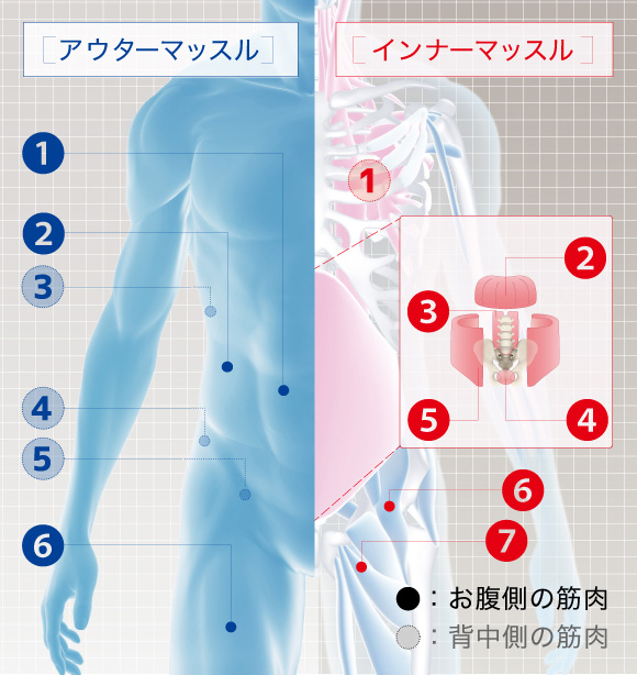 TAIKAN STREAM（タイカンストリーム）| BRANDS（ブランド一覧） | 株式