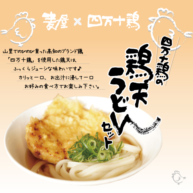四万十の鶏天うどんセット