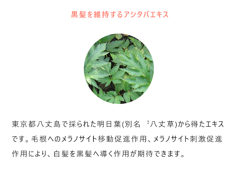 定期購入》MUKII THE serum shampoo＆treatment《serum シャンプー