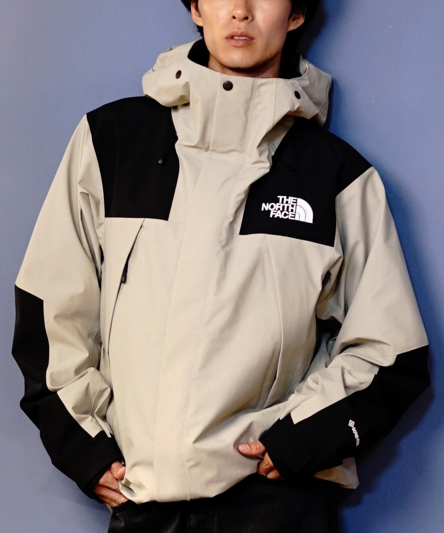 THE NORTH FACE ノースフェイス アウター メンズ 防水 防風 MOUNTAIN