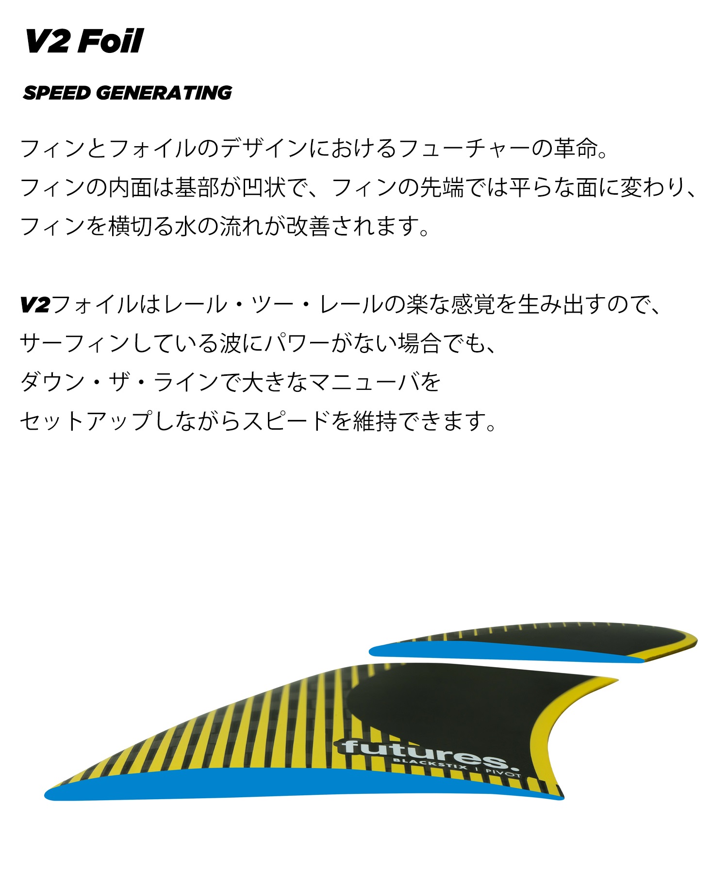 FUTURE フューチャー BLACKSTIX Rシリーズ RAKE ブラックスティック