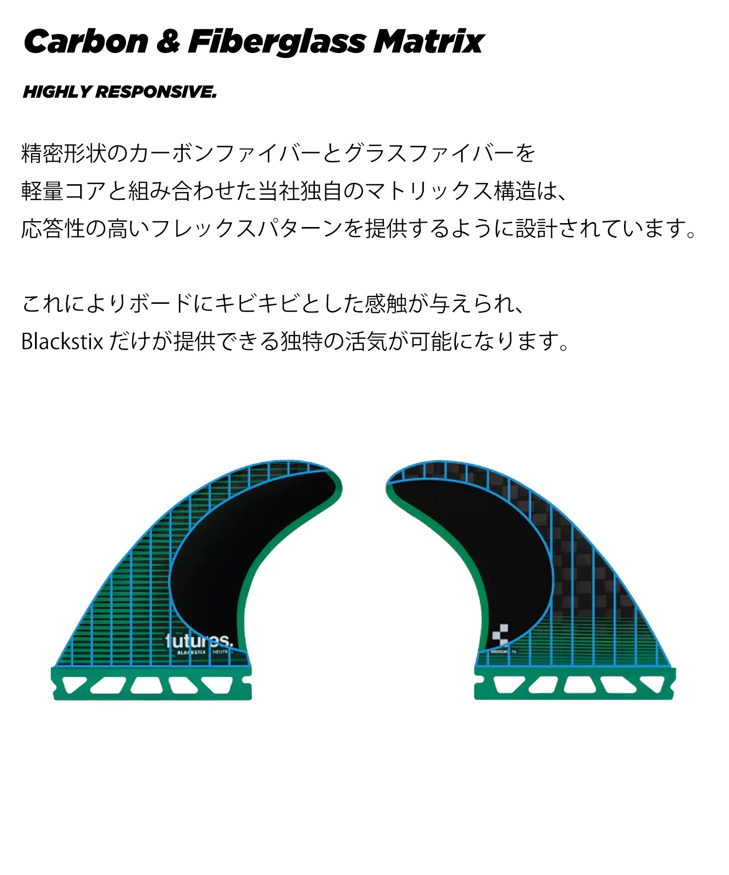 FUTURE フューチャー BLACKSTIX Rシリーズ RAKE ブラックスティック
