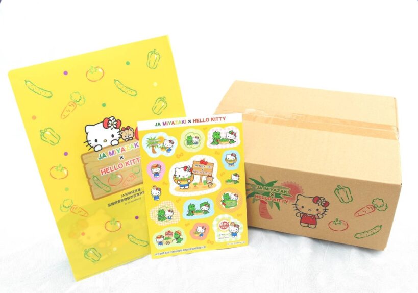 数量・期間限定】「みやざき夏野菜セット（ハローキティノベルティ付