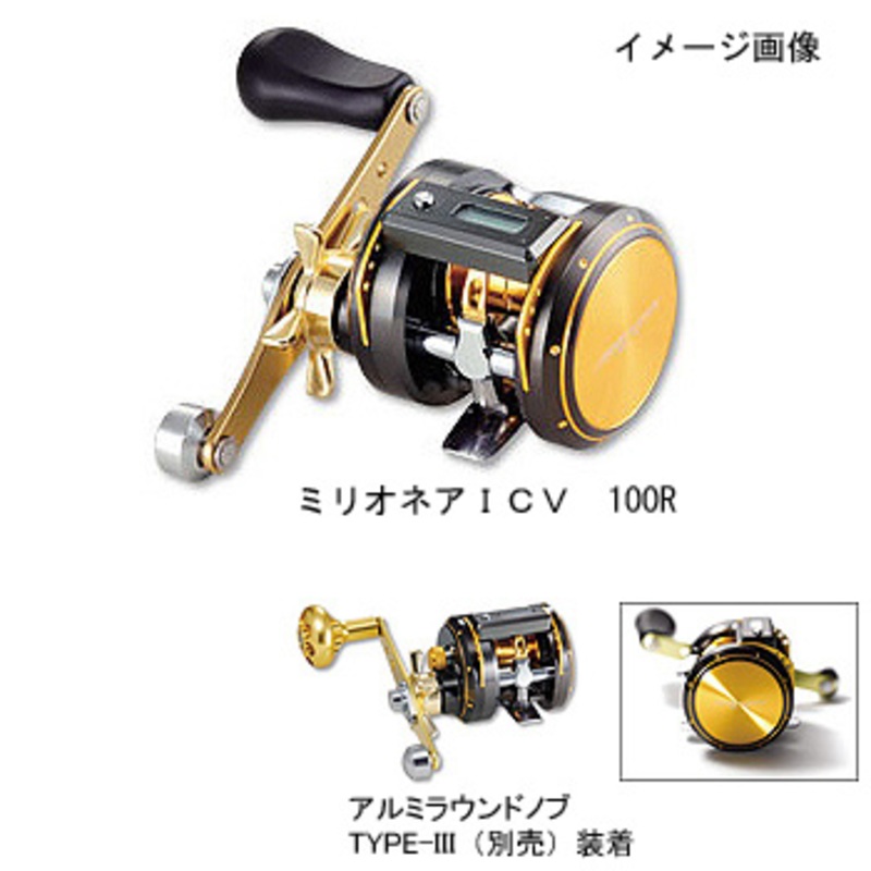 ダイワ(Daiwa) ミリオネアICV 250 00615016｜アウトドア用品・釣り具