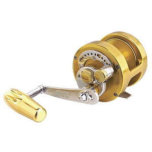 366_1.jpg?20070711115852