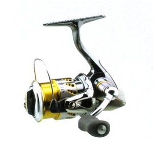 977_1.jpg?20070302144422