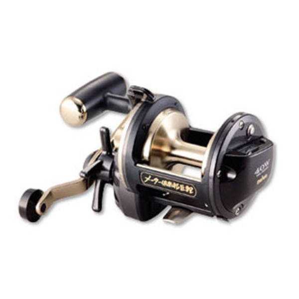 ダイワ(Daiwa) メーター倶楽部巨鯉 40W 00607801｜アウトドア用品