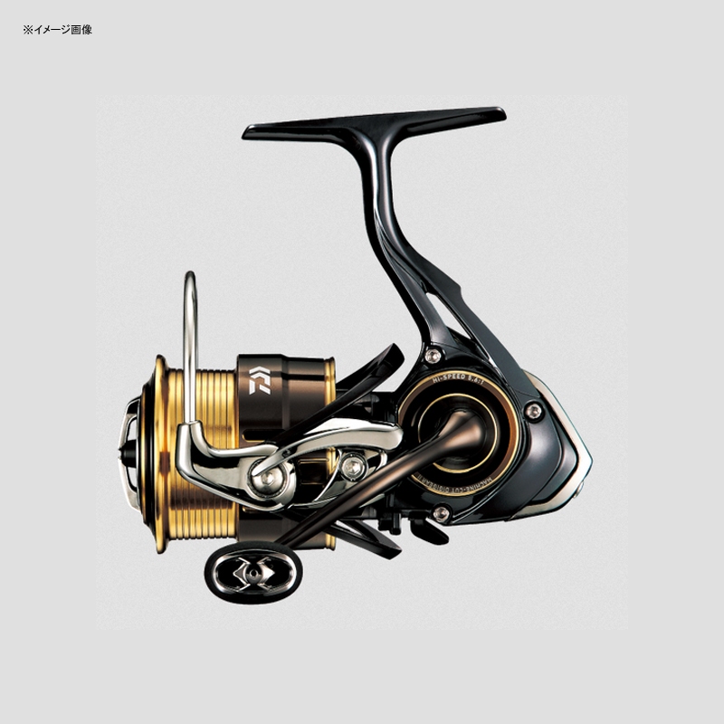 ダイワ(Daiwa) 17セオリー 3012H 00056002｜アウトドア用品・釣り具