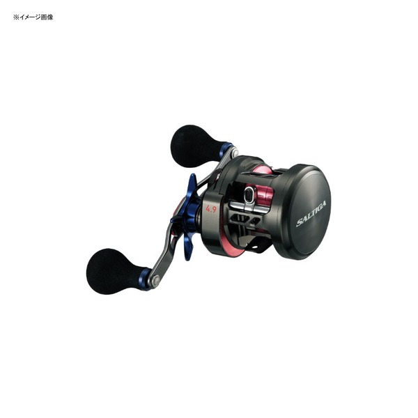 ダイワ(Daiwa) ソルティガ BJ 100SH 右巻き 00613710｜アウトドア用品