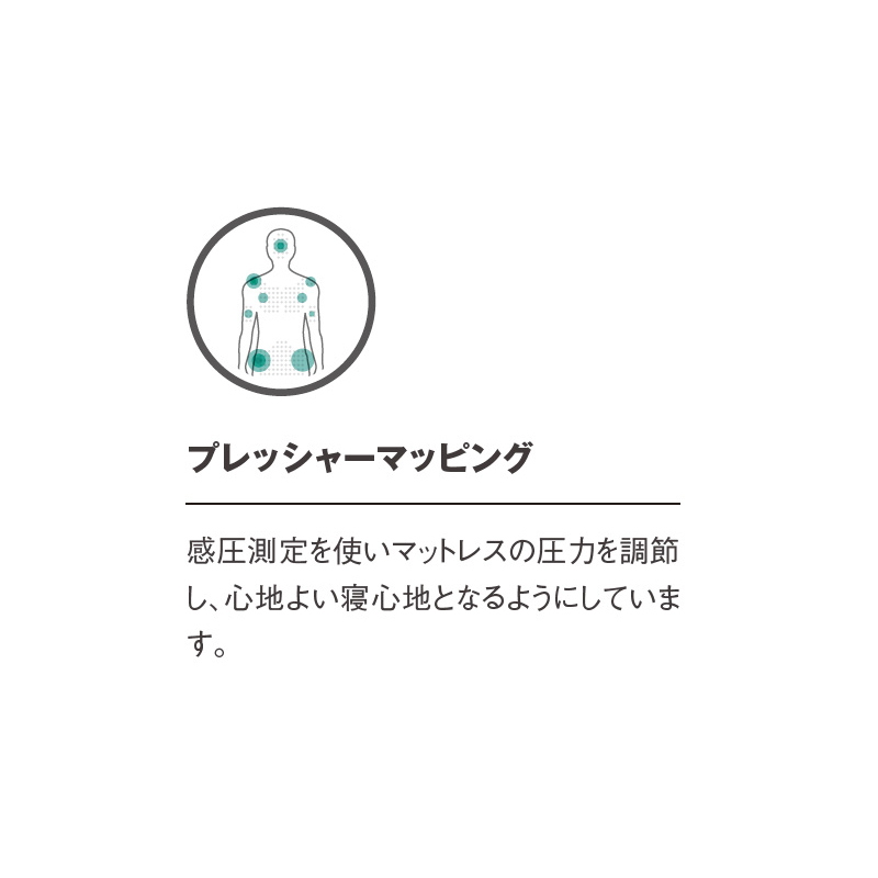 THERMAREST(サーマレスト) ラグジュアリーマップ 30105｜アウトドア