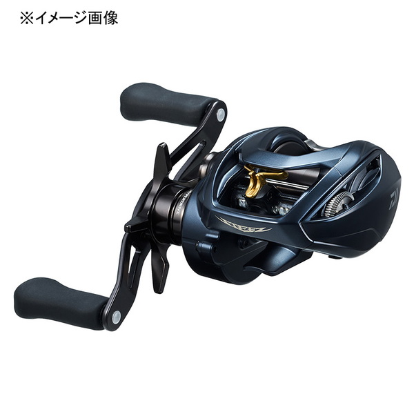 ダイワ(Daiwa) STEEZ AII TW 1000H(スティーズA2TW) 右ハンドル