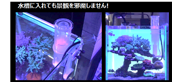 取寄】ZENSUI ナノスキマーコンパクト - 海水魚ショップ ナチュラル