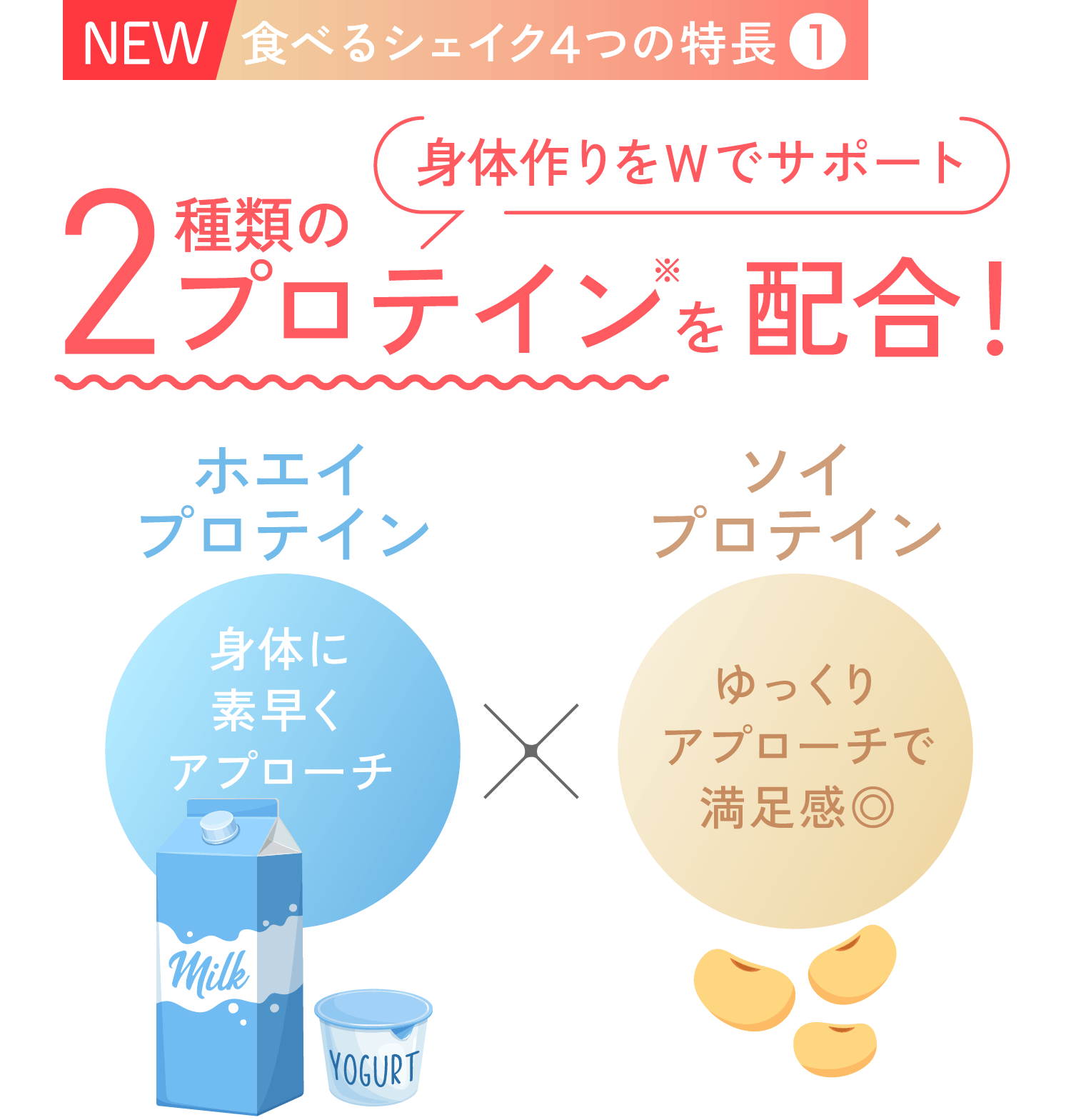 めざせ、シェイプボディ！「食べるシェイク Wプロテイン」 | NARIS