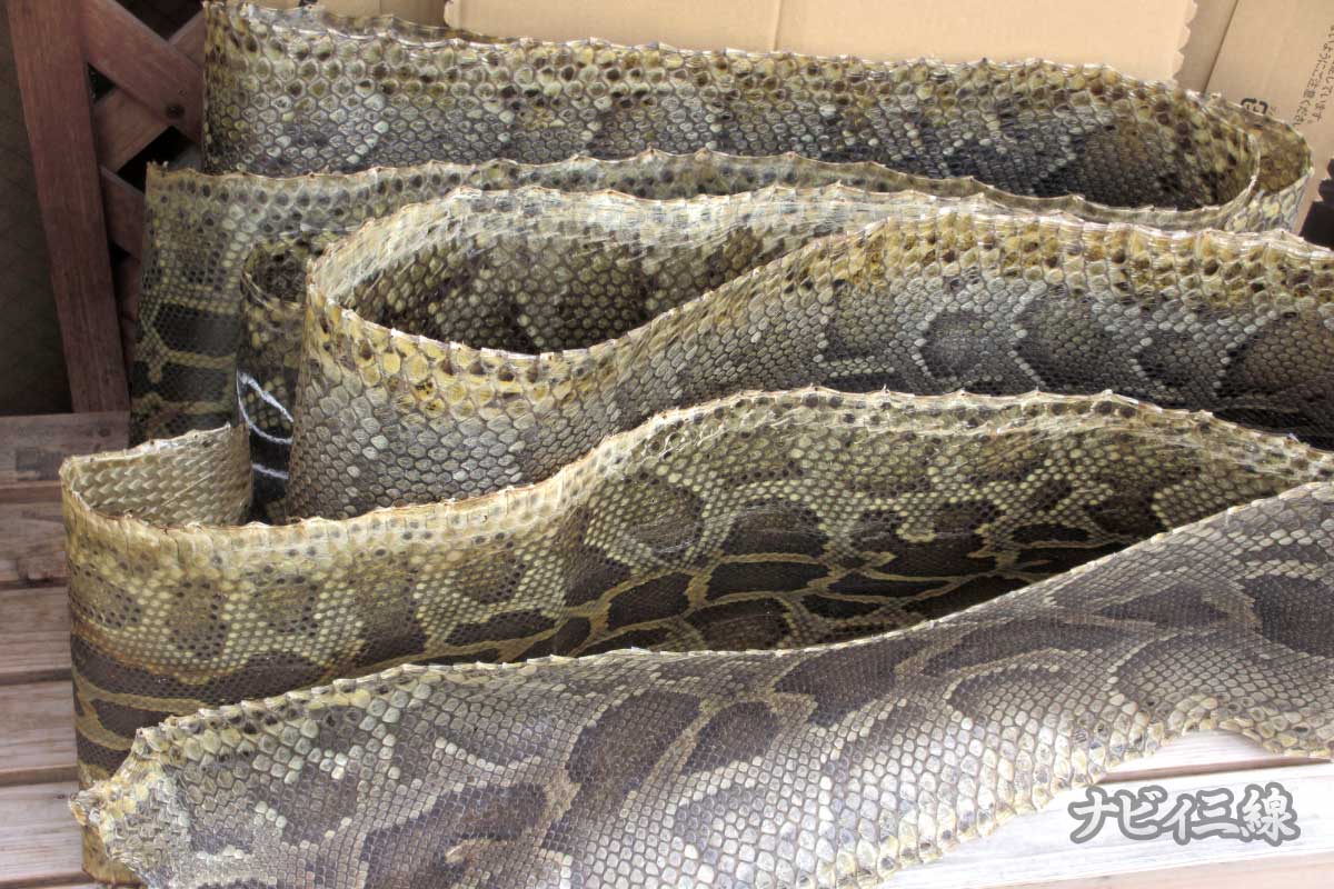 沖縄三線 蛇皮 希少色】沖縄三線 三味線 へび皮 蛇皮 蛇革 税込)