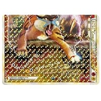 ライコウ [色ちがいのポケモンプレゼントキャンペーン] 064/L-P 買取