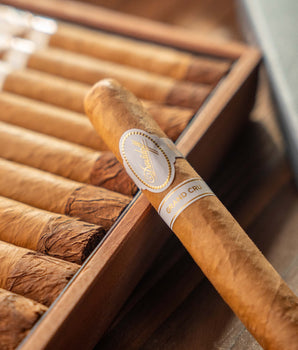 ダビドフ アンカットセット 葉巻 | nextCIGAR オンライン葉巻店