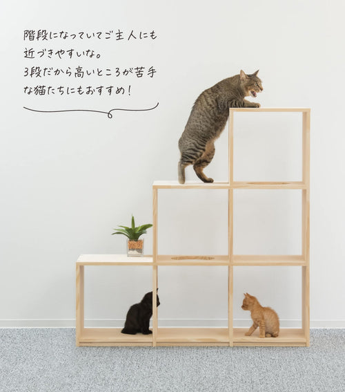 木製で長く使える2way猫爪とぎ ｜ 猫のための木工所