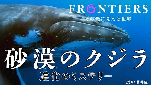 ♯Jxi01LT深海の巨大生物NHKスペシャル謎の海底サメ王国人気3種
