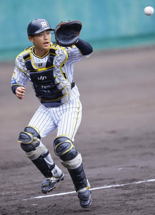 阪神】中川勇斗、今キャンプ初実戦へ「見てて自分も立ちたいなというか