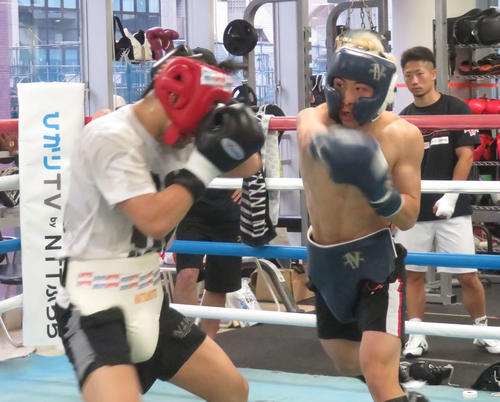 井上尚弥、アルバレスの試合見ず「特別な存在とも思っていない。ああ