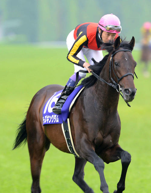 過去の有馬記念で出走を取り消した馬 94年マチカネタンホイザ、10年