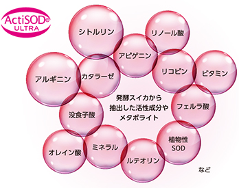 サヴォン アンベリール3個セット＜洗顔石けん＞ | 洗顔石鹸