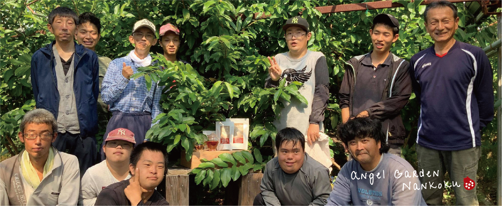 南国にしがわ農園 法人概要・沿革 – 南国にしがわ農園