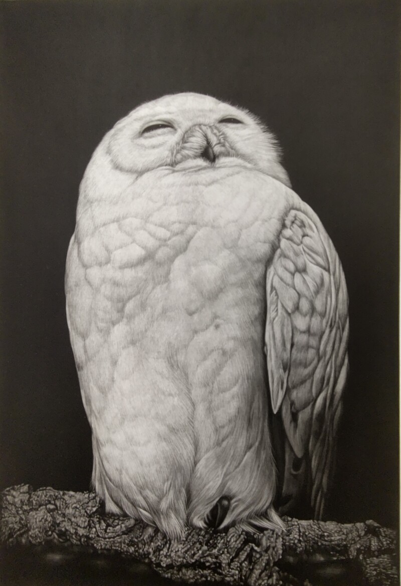 巨匠銅版画展」 同時開催「生田宏司メゾチント銅版画展」 2023年10月11