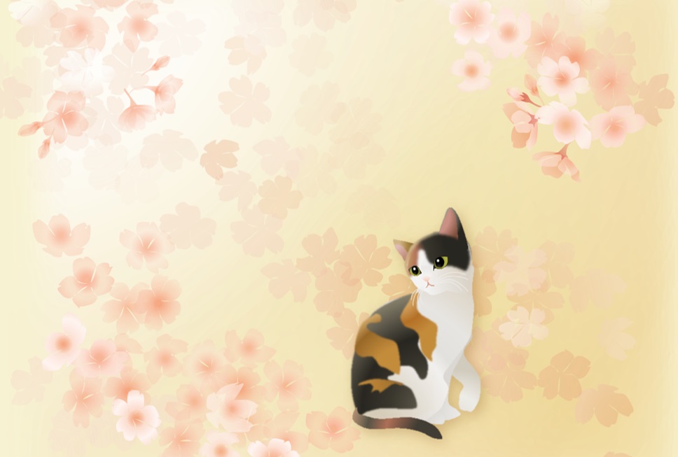 may's shop 縁側：ポストカード＜桜 三毛猫＞【にゃん太通販】