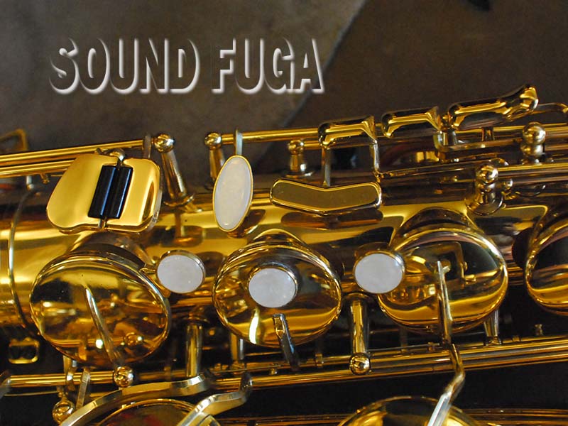 MARCATO SOPHIA SERIES テナーサックス 良品