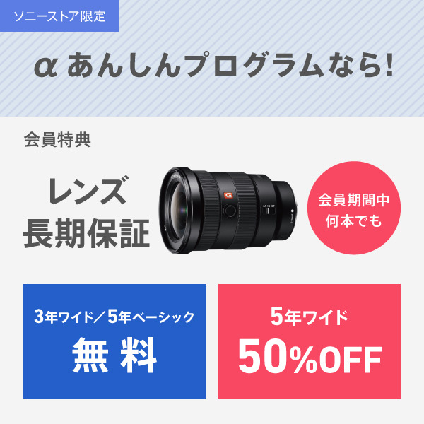 SEL2470GM2 購入 | デジタル一眼カメラ α：アルファ | ソニー