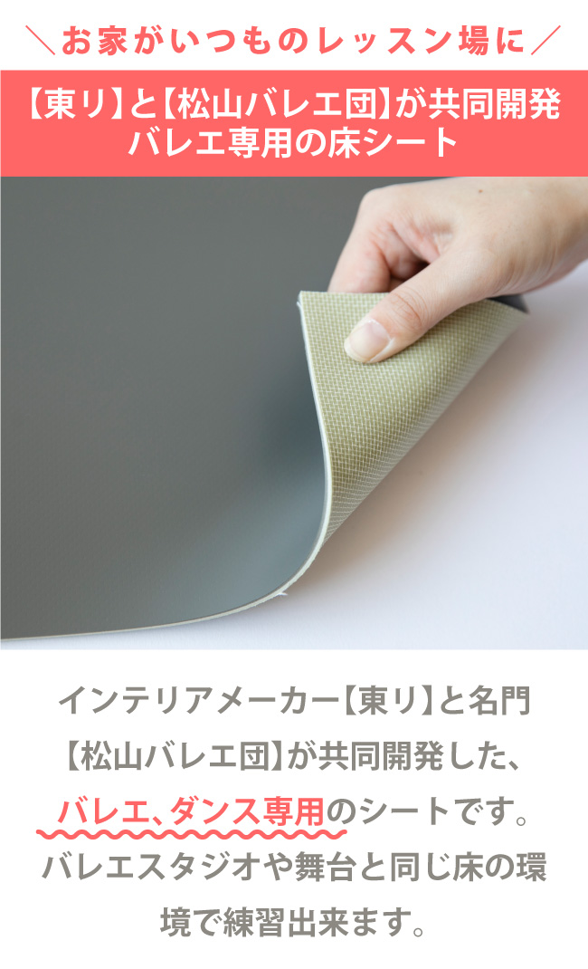 幅182cm×長さ100cm以上・10cm単位オーダー専用ページ】バレエ・ダンス