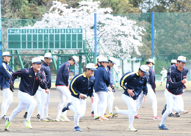 高校野球＞浦和学院、夏の甲子園出場に向け再始動 勝ち切る力…投手陣
