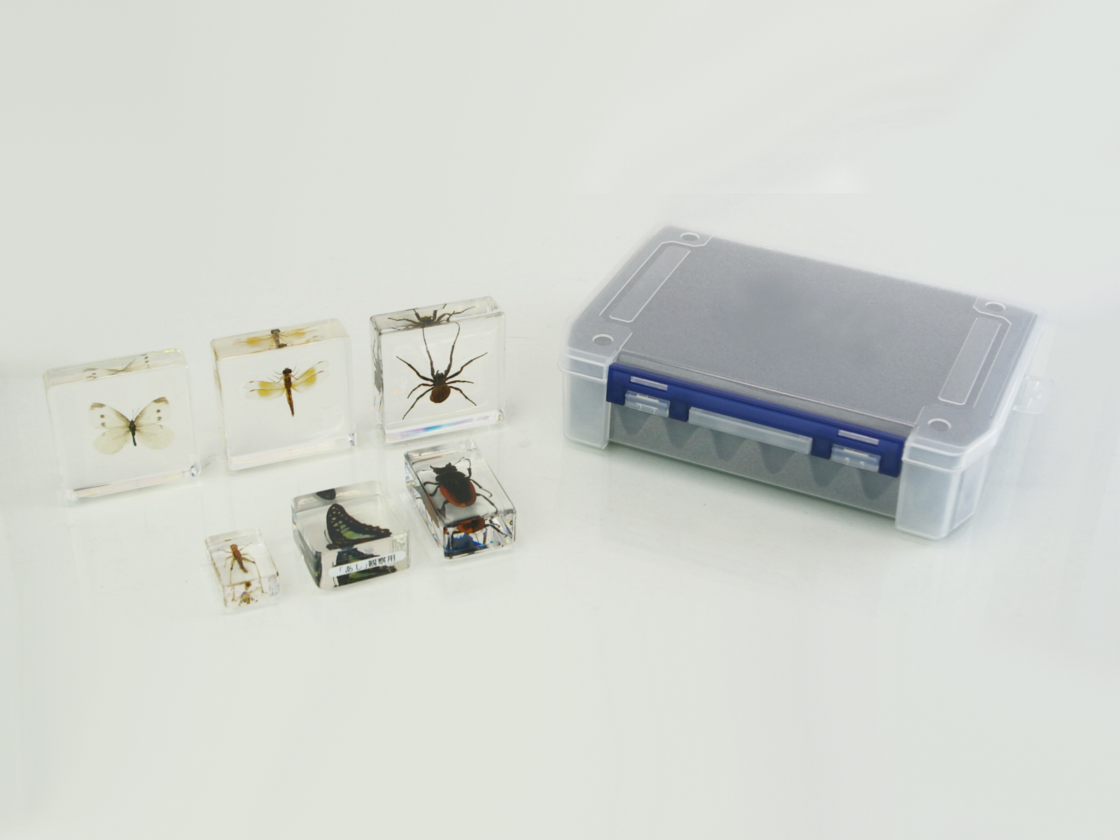 Insect.happy 標本箱A2サイズ黒2セット Insect.happy 標本箱A2サイズ黒