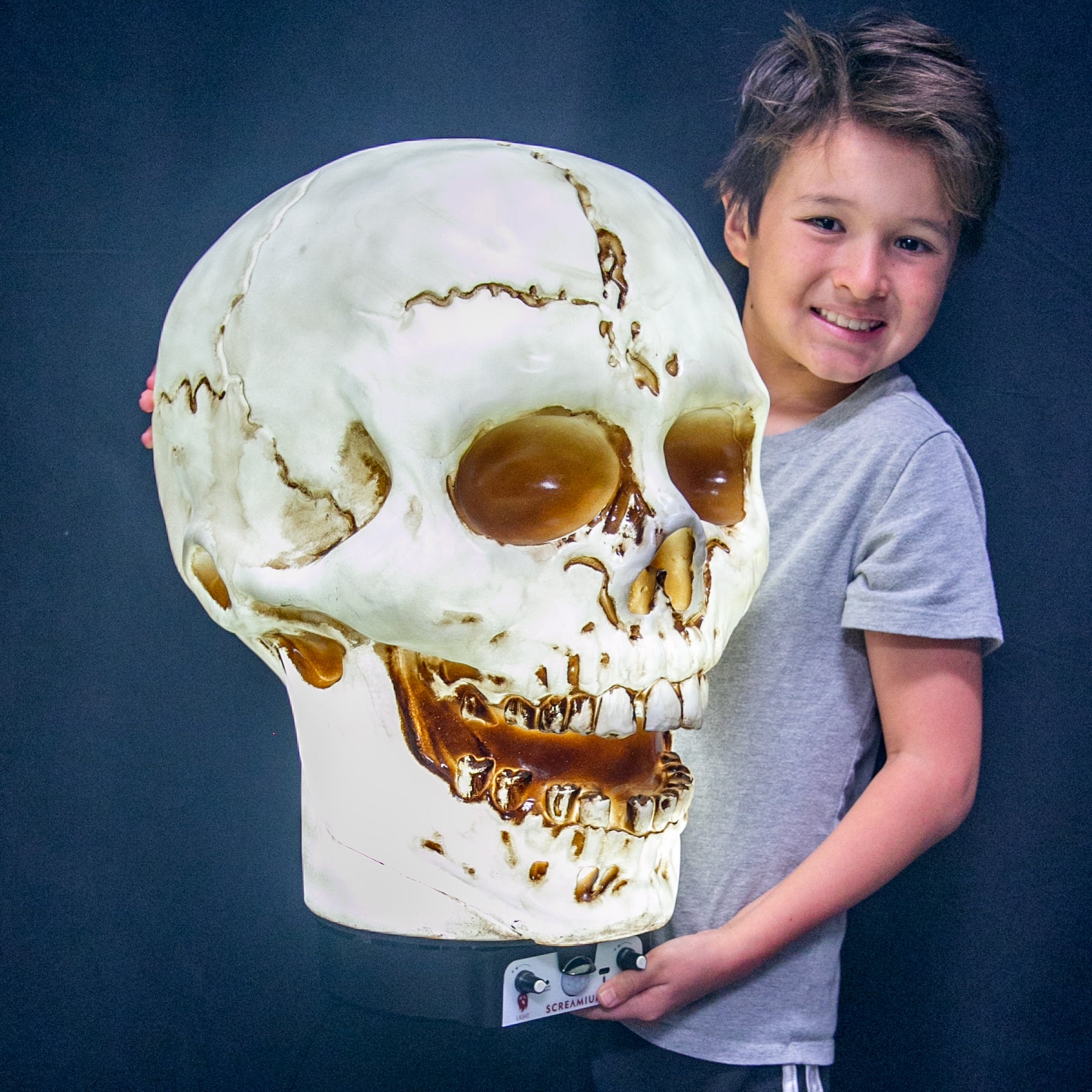 Giant Skull Animatronic Lamp Prop 20-Inch-Tall Heavy Duty