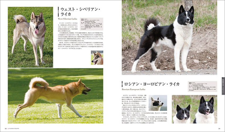 増補改訂 最新 世界の犬種大図鑑 | 株式会社誠文堂新光社