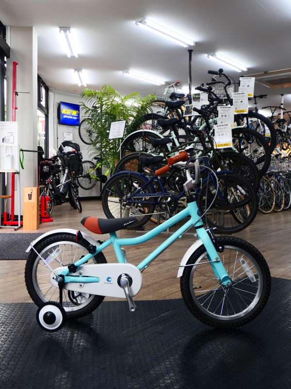 セオサイクル