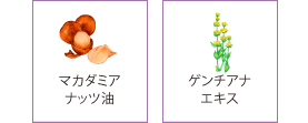リニューアル6年目! エルヴィナス クリスタリューション/フェアリュー