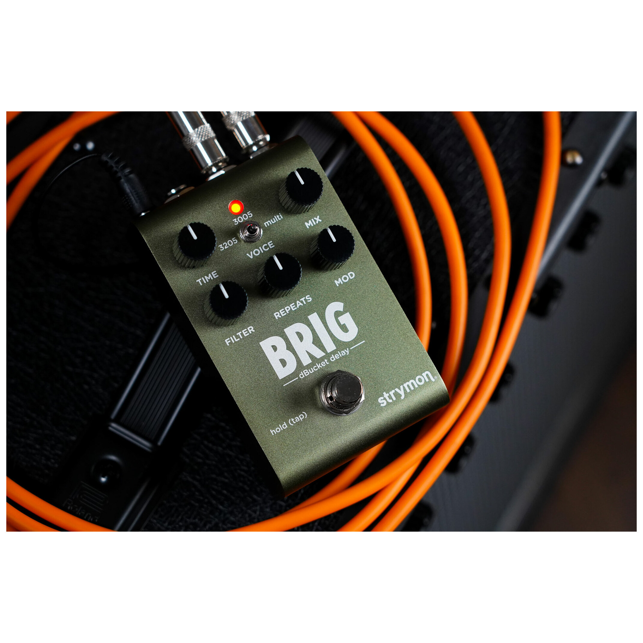 Strymon Brig dBucket Delay kaufen | Jetzt bei session!