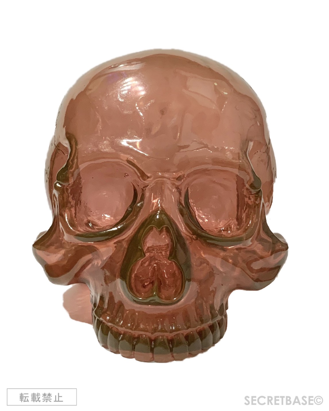 1/1 SKULL HEAD CLEAR REDDISH BROWN - SECRET BASE ONLINE STORE
