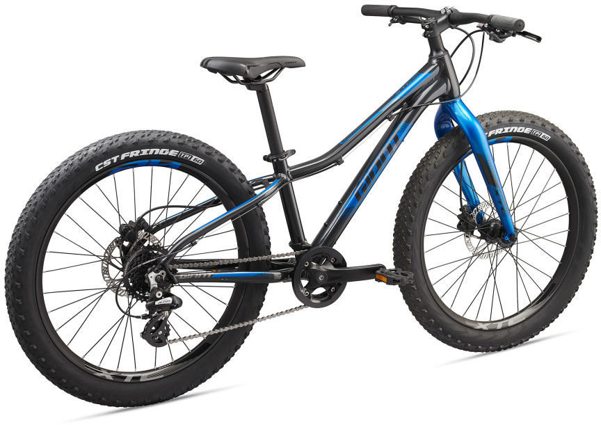 Giant XtC JR 24+ - Asheville Bicycle Company