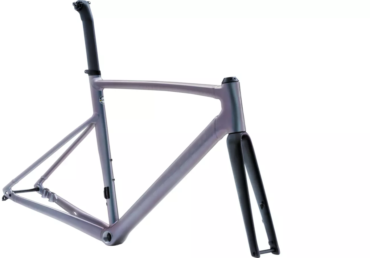 Specialized Allez Sprint Frameset - Cycle Sport | Scotts Valley