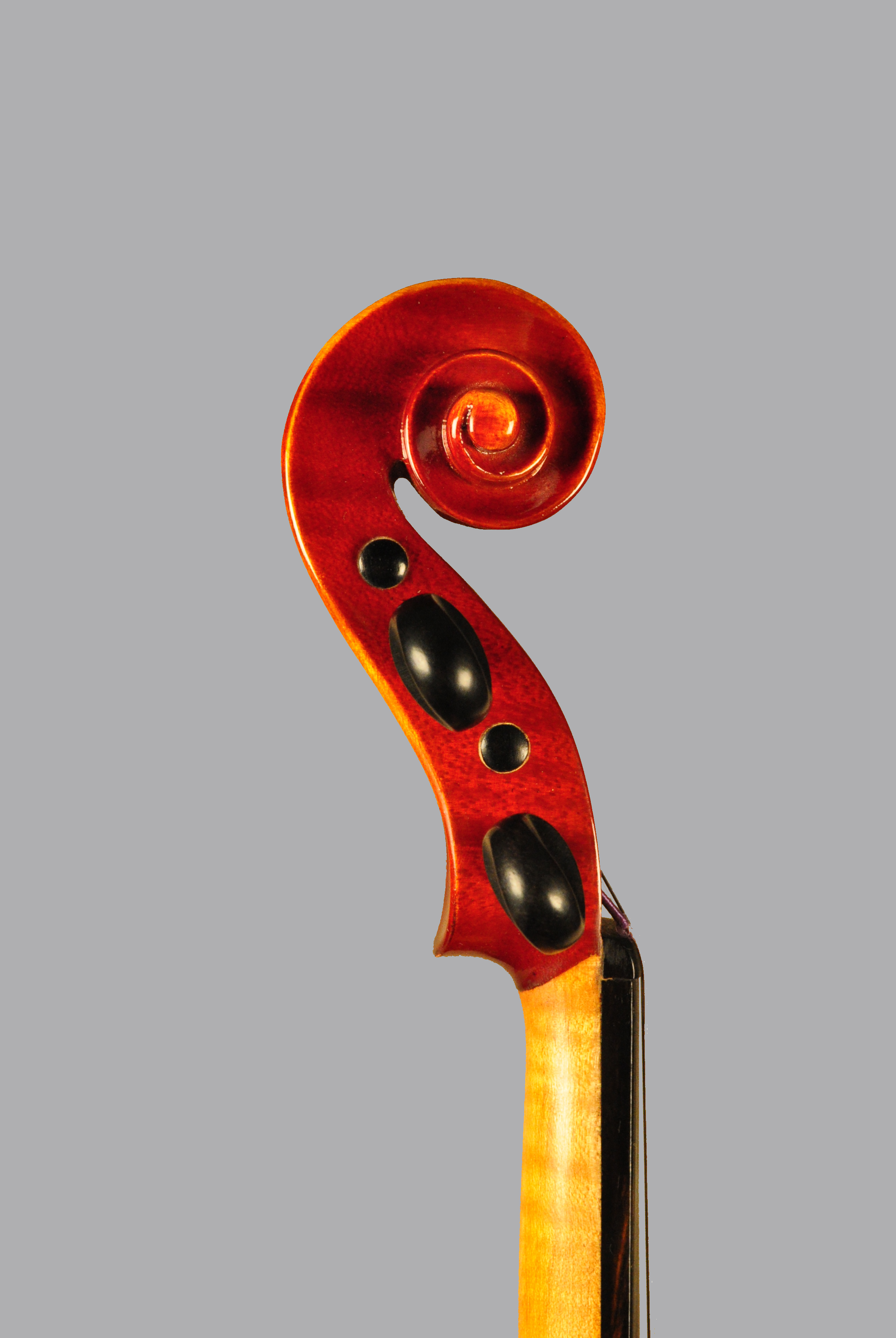 1/2 J. J. DVORAK #1930 | 下倉バイオリン 弦楽器専門店